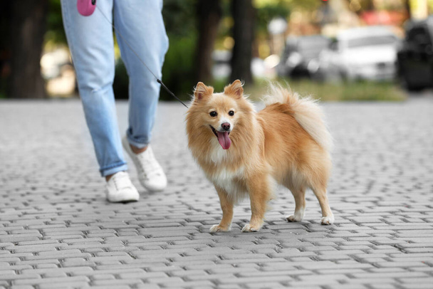 Woman with her cute dog walking on city street. closeup - Foto, Imagem