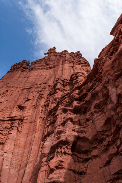 Las marcas de pavo y las grietas crean hermosas texturas en los pináculos de roca roja en Fisher Towers - Foto, imagen