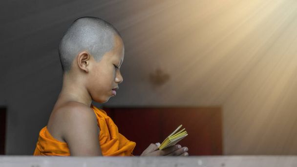 portrait of Thai buddhist novice in orange robe standing and reading buddhism lessen scripture by window in temple. Buddhist novice study buddhism lessen during period of Buddhist Lent - 写真・画像