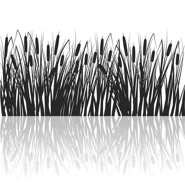 Silhouet van riet en biezen in het groene gras. Moeras- en rivierplanten met reflectie in water. Vector platte illustratie - Vector, afbeelding