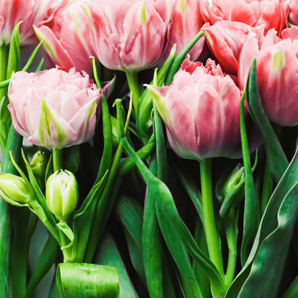 Fleurs de printemps sur fond de marbre comme cadeau de vacances, carte de voeux et flatlay floral - Photo, image