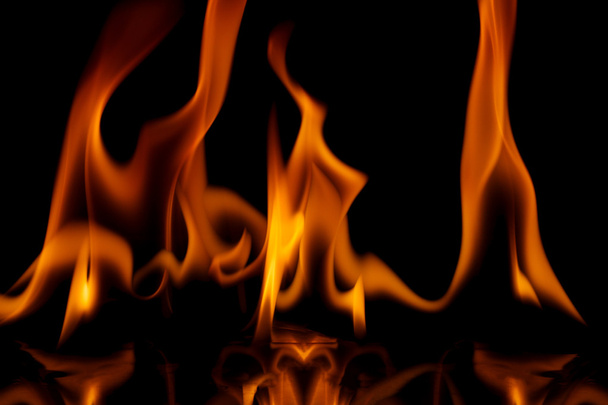 Fire flames     - Foto, immagini