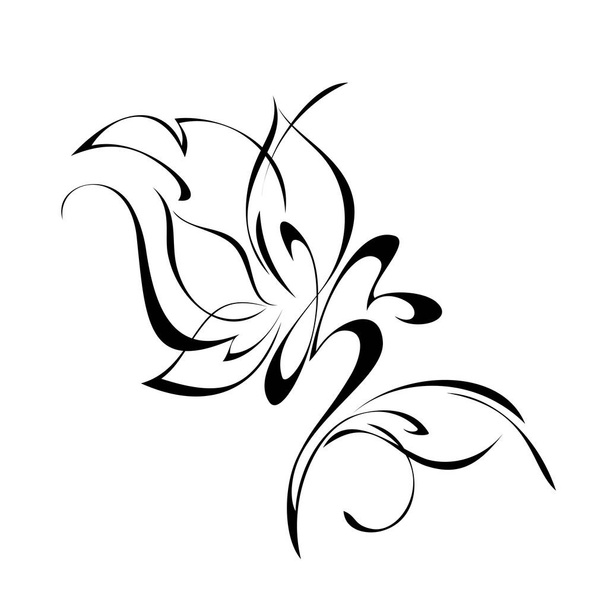 stylized flower in black lines on a white background - Vector, Image