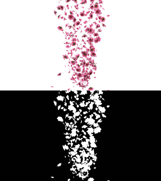 3D illustration of a pink cherry sakura flower petals flow with alpha layer - Photo, Image