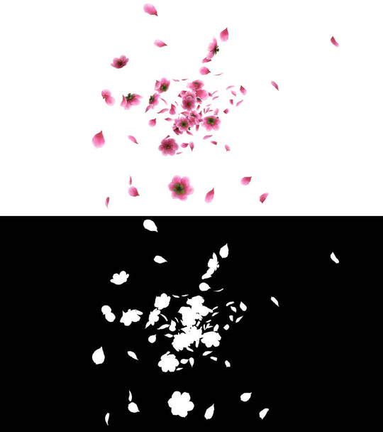 3D-Illustration einer rosa Kirsch Sakura Blütenblätter fließen mit Alpha-Schicht - Foto, Bild