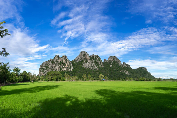 красивая гора на голубом фоне неба, рисовые поля на переднем плане, провинция Накхон Саван, к северу от Тайланда - ландшафт Таиланда - Фото, изображение