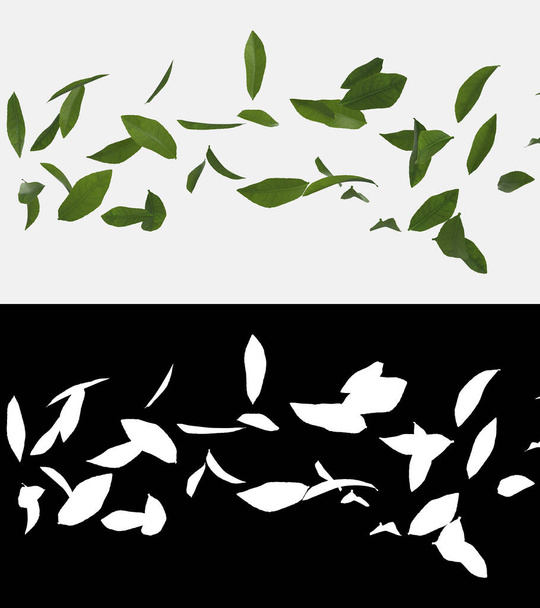 3D illustration of green tea leaves flow with alpha layer - Φωτογραφία, εικόνα