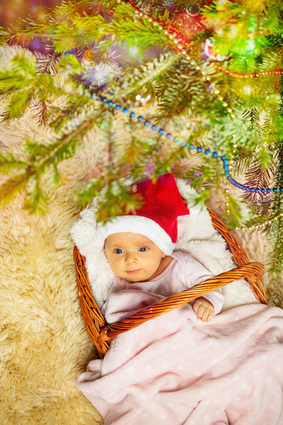 Close-up of a baby girl in a basket under decorated Christmas tree view from above - Foto, imagen