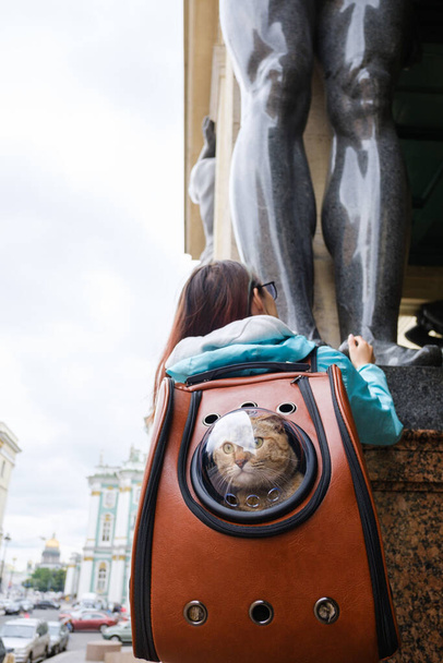 Traveler cat in a backpack admires the city views of St. Petersburg together with its owner. - Foto, immagini