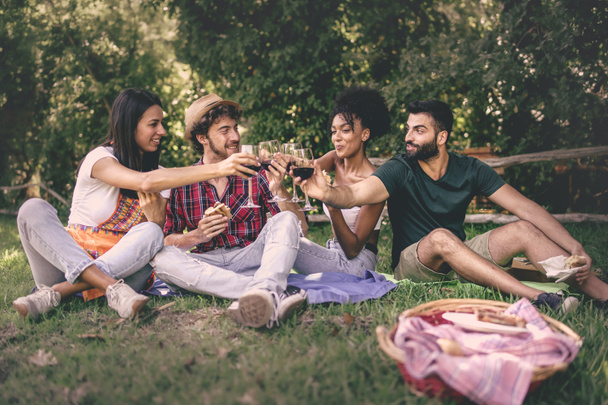 Мультирасовые друзья пьют тост за пикник. Группа молодых людей, сидящих на траве и звенящих в бокалах. - Фото, изображение