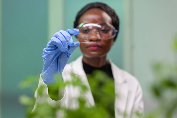 Afrikaanse botanicus kijkt naar genetisch testmonster voor biologisch experiment - Foto, afbeelding