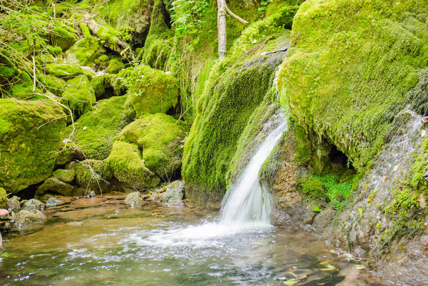 eau de source de montagne d'où provient un ruisseau forestier, eau potable - Photo, image