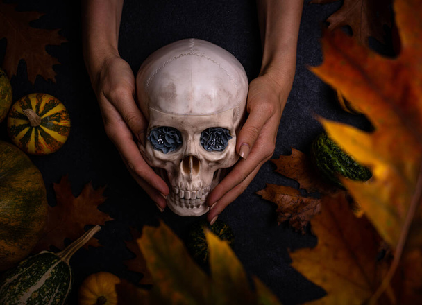 Halloween autumn background with skull - Fotoğraf, Görsel