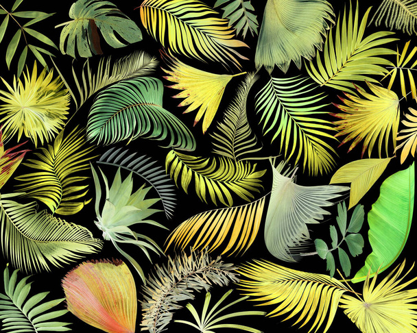 trooppinen vihreä palmunlehti valkoisella kesäpohjalla - Valokuva, kuva