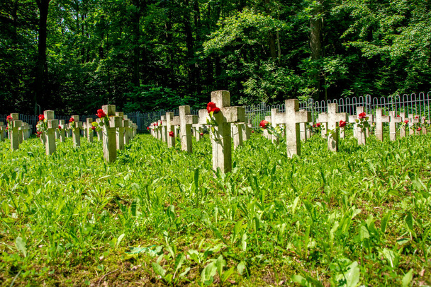 antiguo cementerio histórico de Polonia - Foto, Imagen