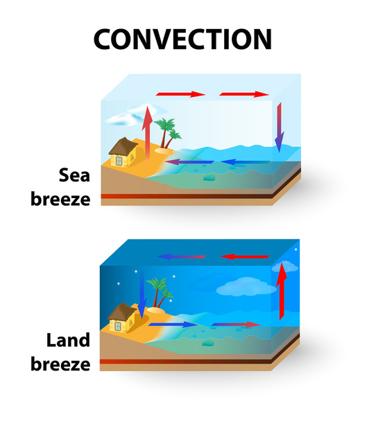 Konvektion. Landbrise und Meeresbrise - Vektor, Bild
