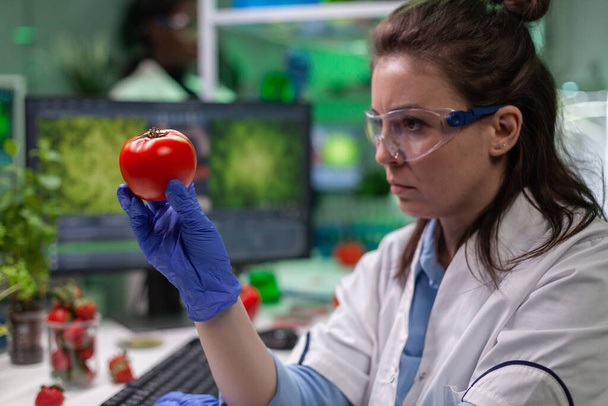 Передній план біологічного дослідника жінки, що аналізує томат, введений з хімічною ДНК
 - Фото, зображення