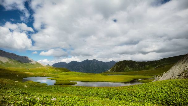 Horské jezero v létě s květinovou loukou a horami v pozadí. Modrá obloha s bílými mraky. Rusko, Kavkaz. Kvalitní fotografie - Fotografie, Obrázek