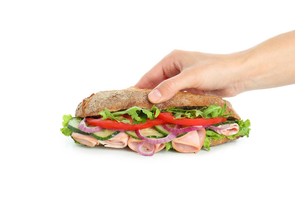女性の手は白い背景に隔離されたciabattaサンドイッチを保持します。 - 写真・画像