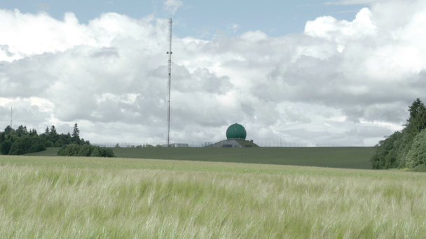 A visão do horizonte do campo com muita planta de cevada verde FS700 Odyssey 7Q
 - Filmagem, Vídeo