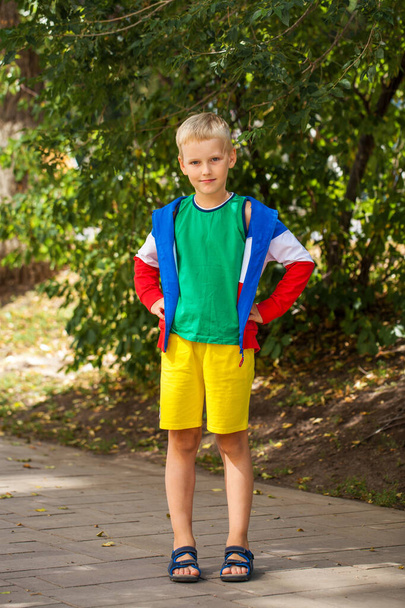 Close-up portrait of a little boy in a summer park - Фото, зображення