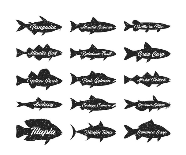 Набор шаблонов логотипов или этикеток. Коллекция рыбных силуэтов в стиле ретро для рыболовства, рыболовства, рыбного рынка, упаковки или рекламы - Вектор,изображение