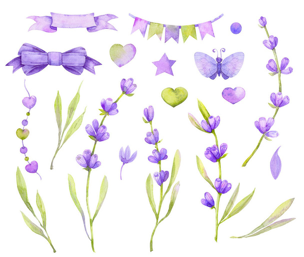 large set of lavender flowers, flags, bows, leaves. Watercolor illustration, isolated on a white background - 写真・画像