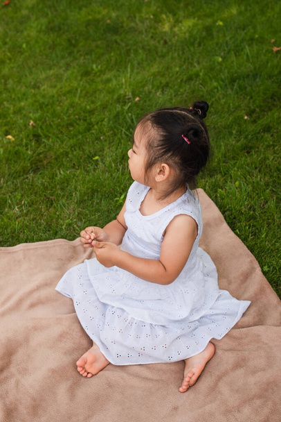 vue grand angle de brunette asiatique enfant en robe assis sur pique-nique couverture  - Photo, image