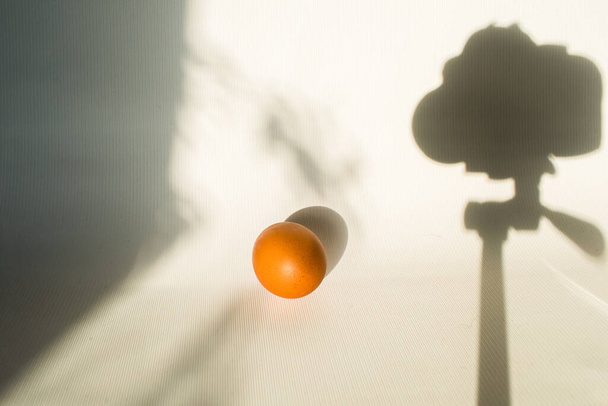 αυγό σε λευκό φόντο έναντι σκιάς κάμερας - Φωτογραφία, εικόνα