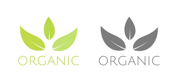 Green eco organic leaves symbols. Organic icons. Vector illustration. - Vector, Image