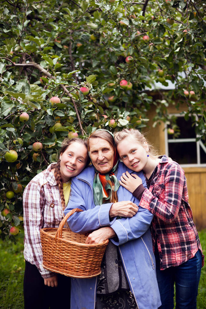 Portret wnuczek z babcią w sadzie jabłkowym w autum - Zdjęcie, obraz