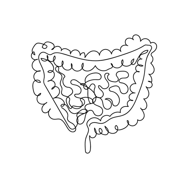 ヒト腸1行アート。人間、内部、臓器、腸、小腸、大腸、消化管、内臓の連続線画. - ベクター画像