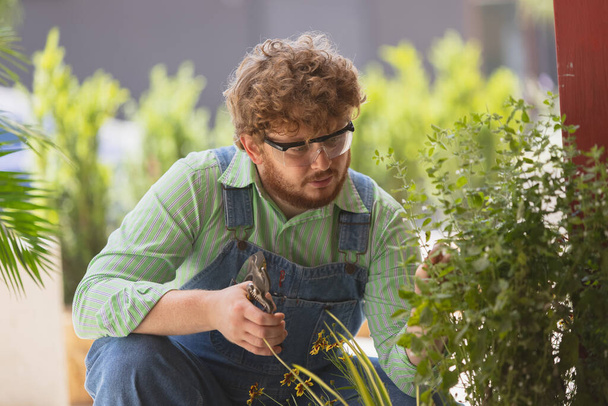 Close-up Caucasian redheaded bearded man, farmer working in garden, outdoors Concept of professional occupation, work. - Fotoğraf, Görsel