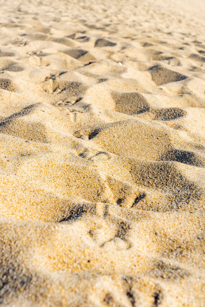 Zblízka stopy racků na písečné pláži. Strukturované pozadí  - Fotografie, Obrázek