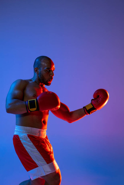 Portrait of one professional boxer in red shorts training, exercising isolated over purple background in neon light. - Photo, Image