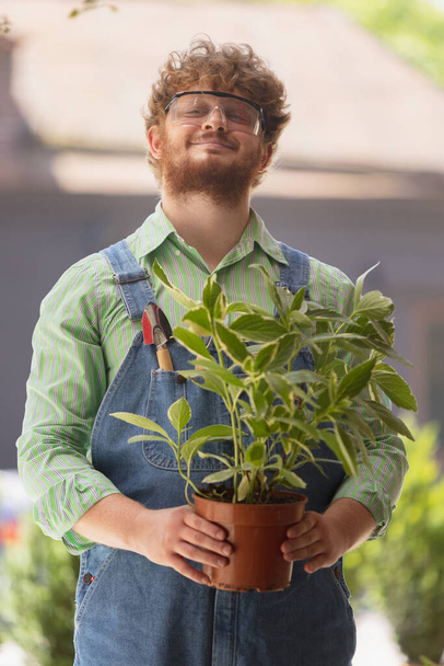 Portrait of smiling redheaded bearded man, farmer with plant in garden, outdoors Concept of professional occupation, work. - Фото, зображення
