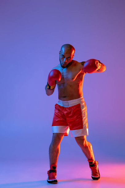 Portret pełnej długości jednego profesjonalnego treningu bokserskiego, ćwiczącego na fioletowym tle w neonowym świetle. Widok z przodu - Zdjęcie, obraz