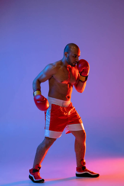 Widok z boku portret zawodowego boksera w rękawiczkach treningowych, ćwiczącego na fioletowym tle w neonowym świetle. - Zdjęcie, obraz
