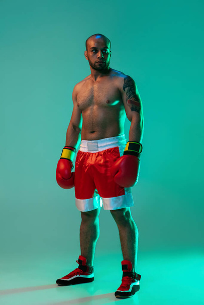 Vertical portrait of one professional male boxer standing isolated over blue green background in neon light. - Photo, Image