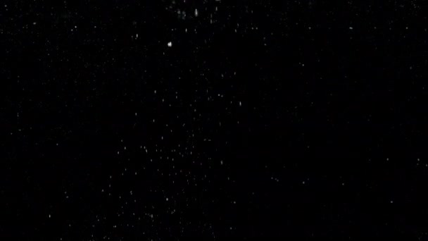 Luchtbellen in water dat naar boven stijgt op een geïsoleerde zwarte achtergrond - Video
