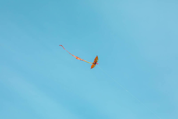 оранжевый цветной змей в голубом небе. копировальное пространство - Фото, изображение