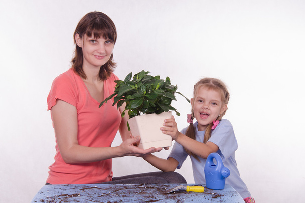 Mamá y su hija tomados de la mano en la sala de flores
 - Foto, imagen