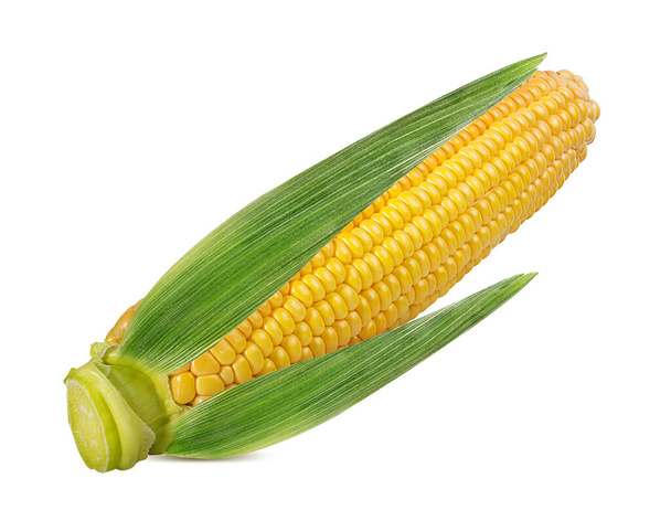 maíz aislado sobre fondo blanco - Foto, imagen