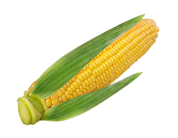 maïs geïsoleerd op witte achtergrond - Foto, afbeelding