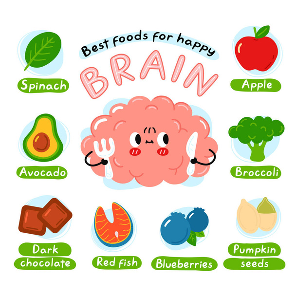 Die besten Nahrungsmittel für ein glückliches Gehirn. Netter Charakter des Gehirnorgans. Vektor-Zeichentrickfigur Kawaii-Ikone. Vereinzelt auf weißem Hintergrund. Ernährung, gesunde Ernährung für den Geist - Vektor, Bild
