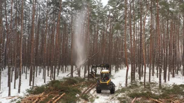 Forestry machines chopping trees - aerial footage - Footage, Video