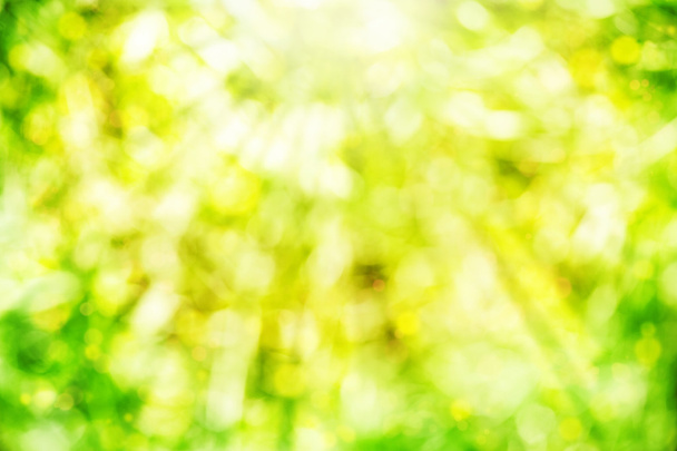 Абстрактный летний фон с солнечным светом
 - Фото, изображение
