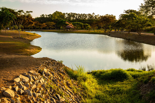 Lake in the Parque Leoldio di Ramos Caiado. Non-urban landscape. - Photo, Image