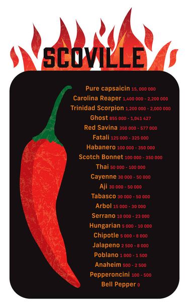 Scoville hot pepper heat unit scale vector illustration with flames and grunge texture - Vector, Image