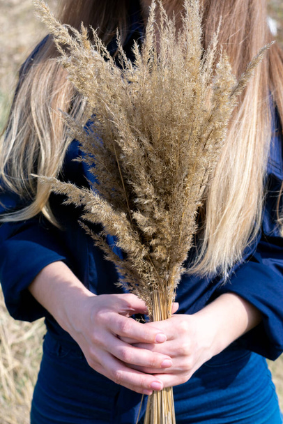 Dried yellow bushgrass bunch in hands of young caucasian woman. Concept of autumn time and fall season coming - Foto, afbeelding